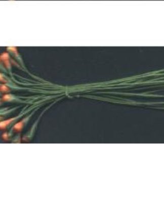 CEREJA VERMELHO E VERDE